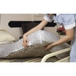 Waterproof Mattress Protector