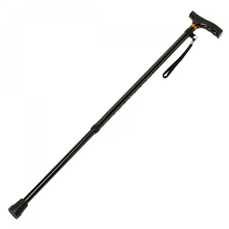 Days Coloured Walking Sticks Black